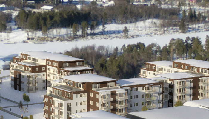 Hallingdal Hytteservice ønsker å sette i gang med planlegging av nytt område på Geilo